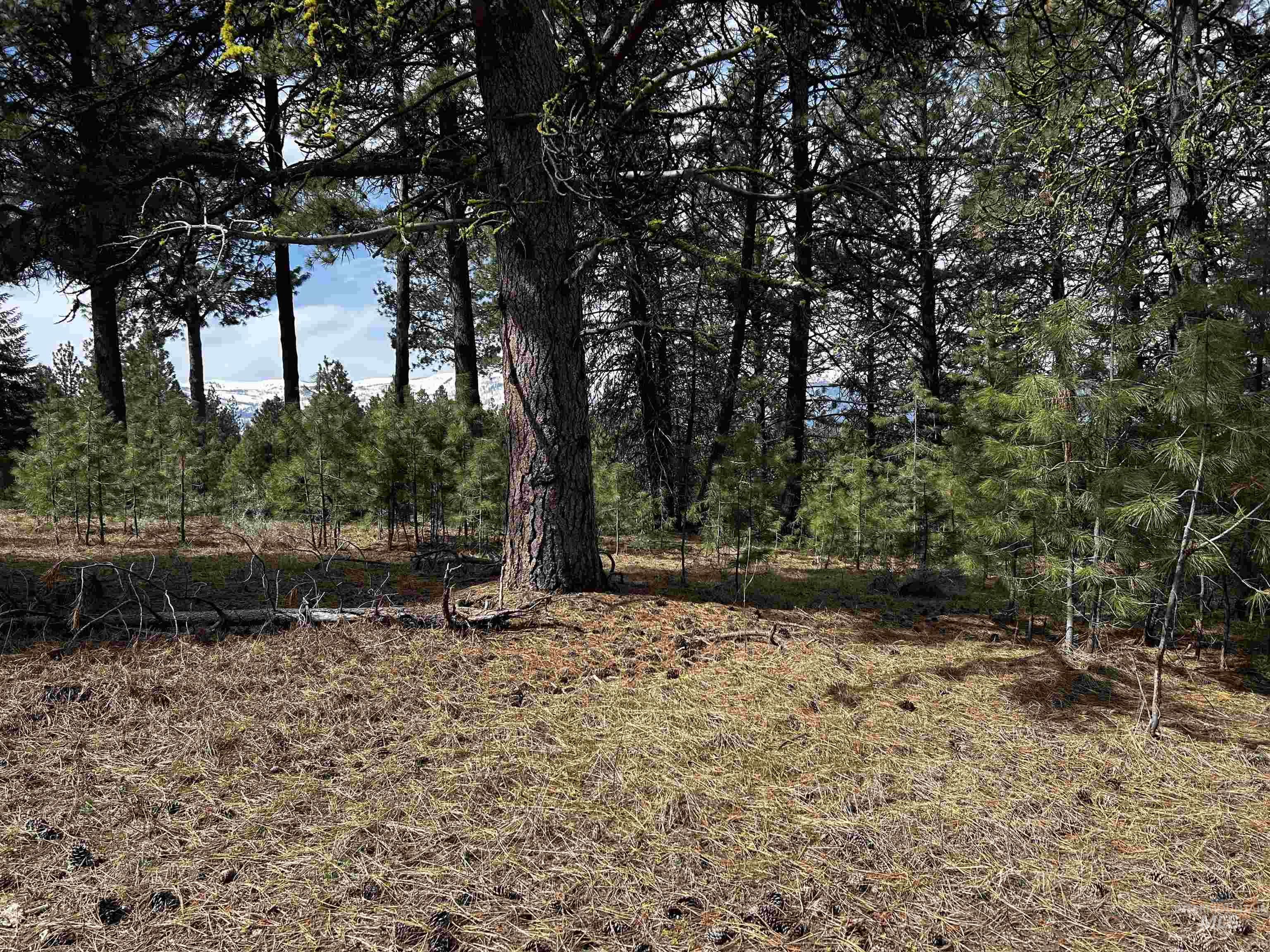 1483 Pine Lakes Ranch Rd, Cascade ID 83611