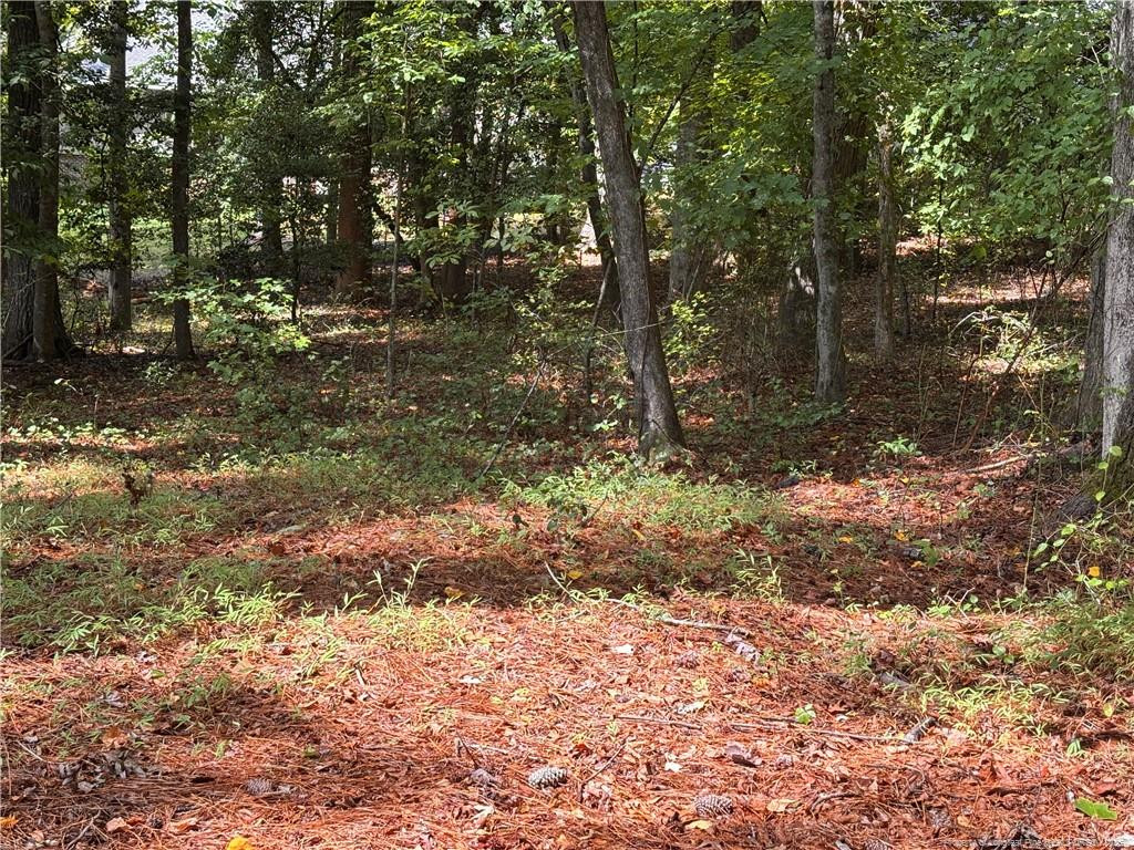 1532 DELAWARE Place, Sanford, NC 27332