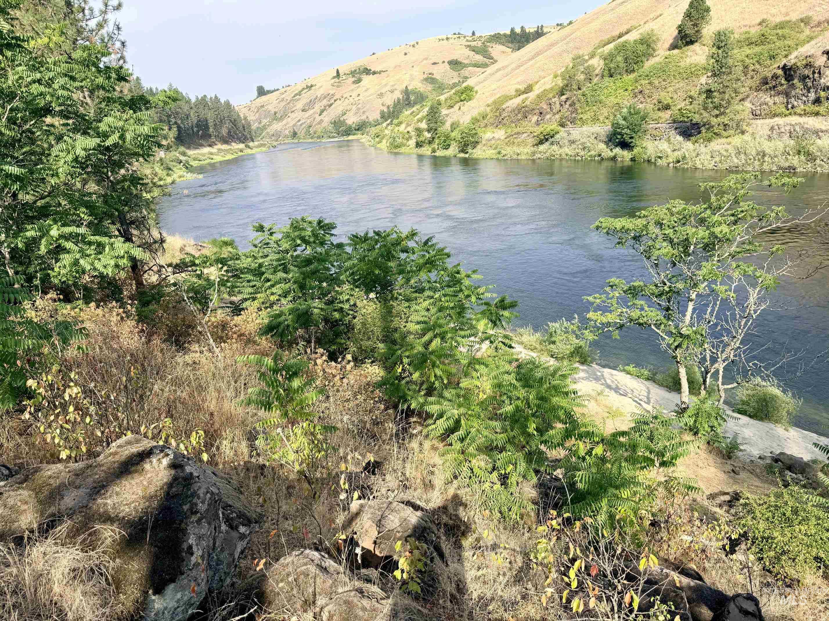 TBD 17.49 Acres Hwy 12, Lenore ID 83541