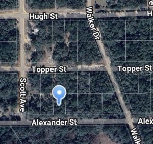 00 ALEXANDER STREET