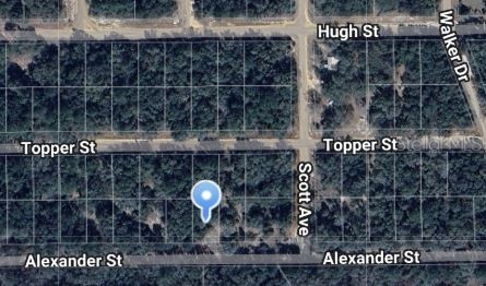 ALEXANDER STREET