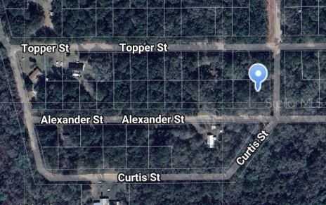 ALEXANDER STREET