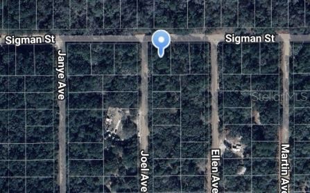 JOEL AVENUE