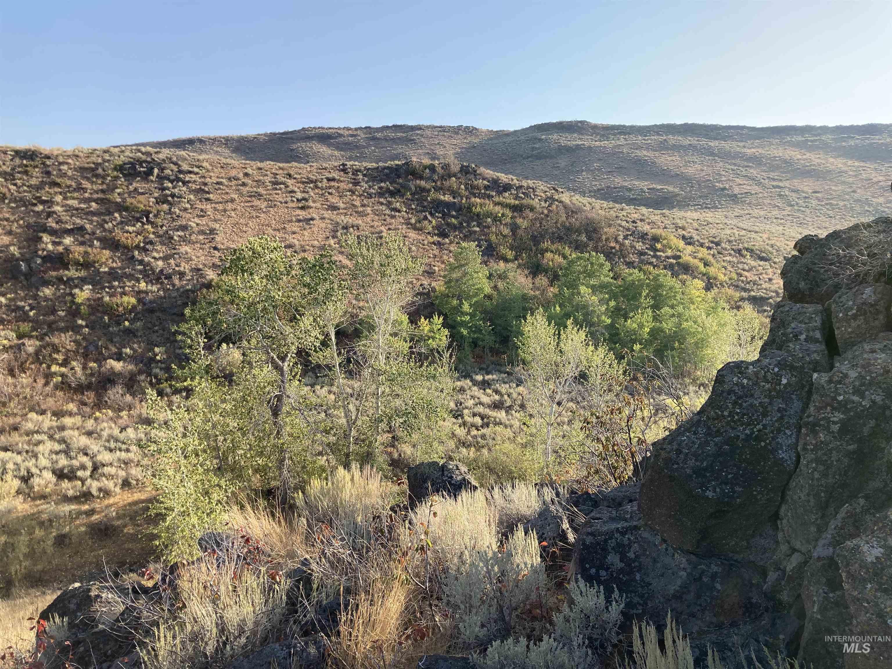 Poison Creek Road, Bellevue ID 83313