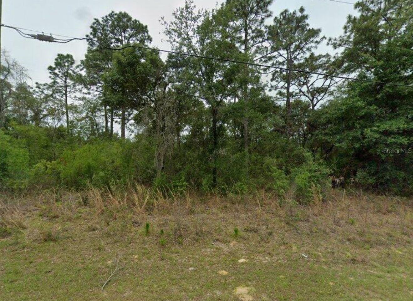 2338 W RILEY DRIVE