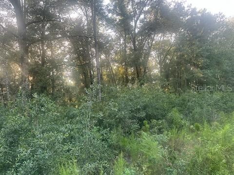 Lots 2 & 3 SW 156 AVENUE