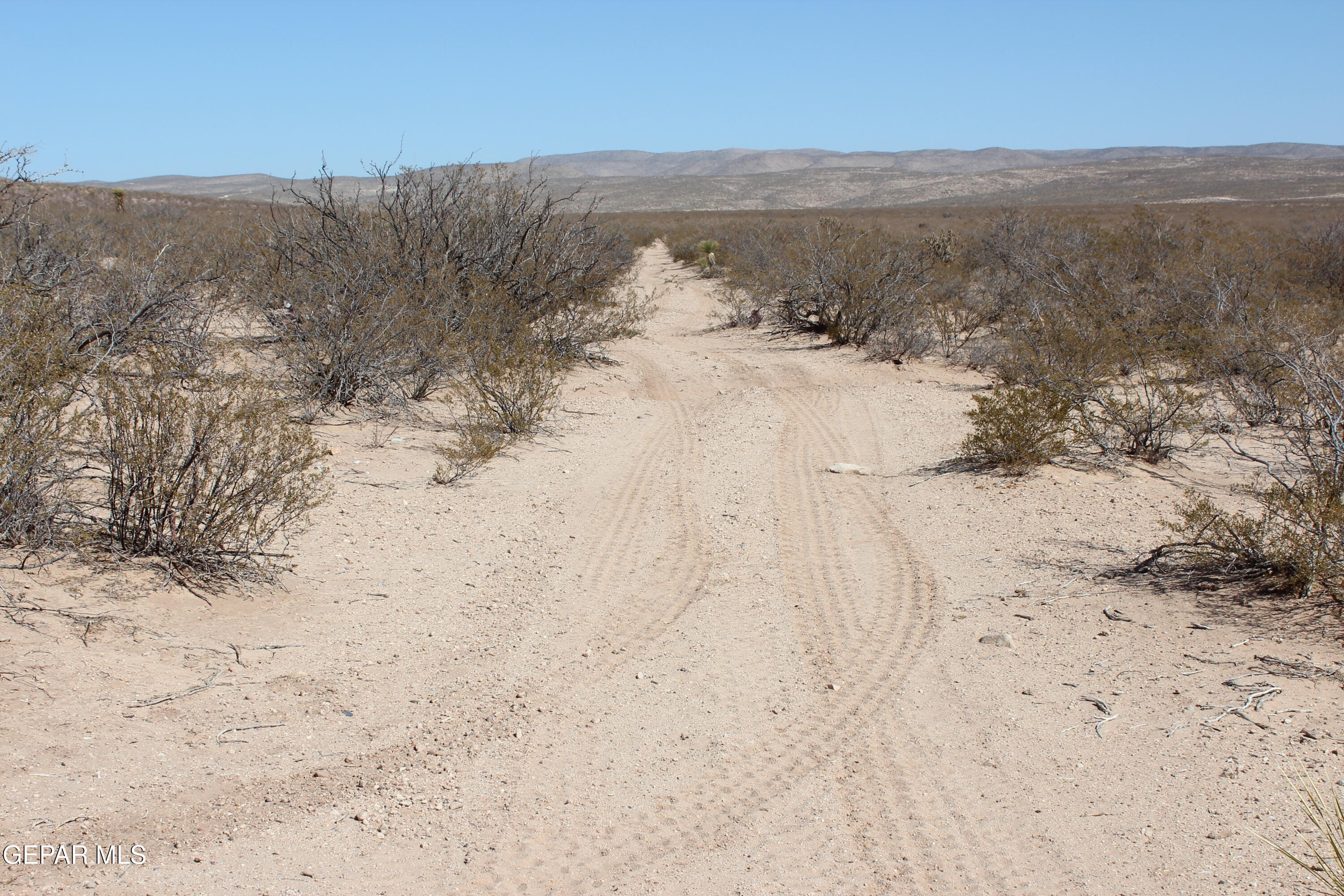 AB 2329 BLK 82 SEC 1 PSL UNIT 1 PAR 13, Van Horn, TX 79855