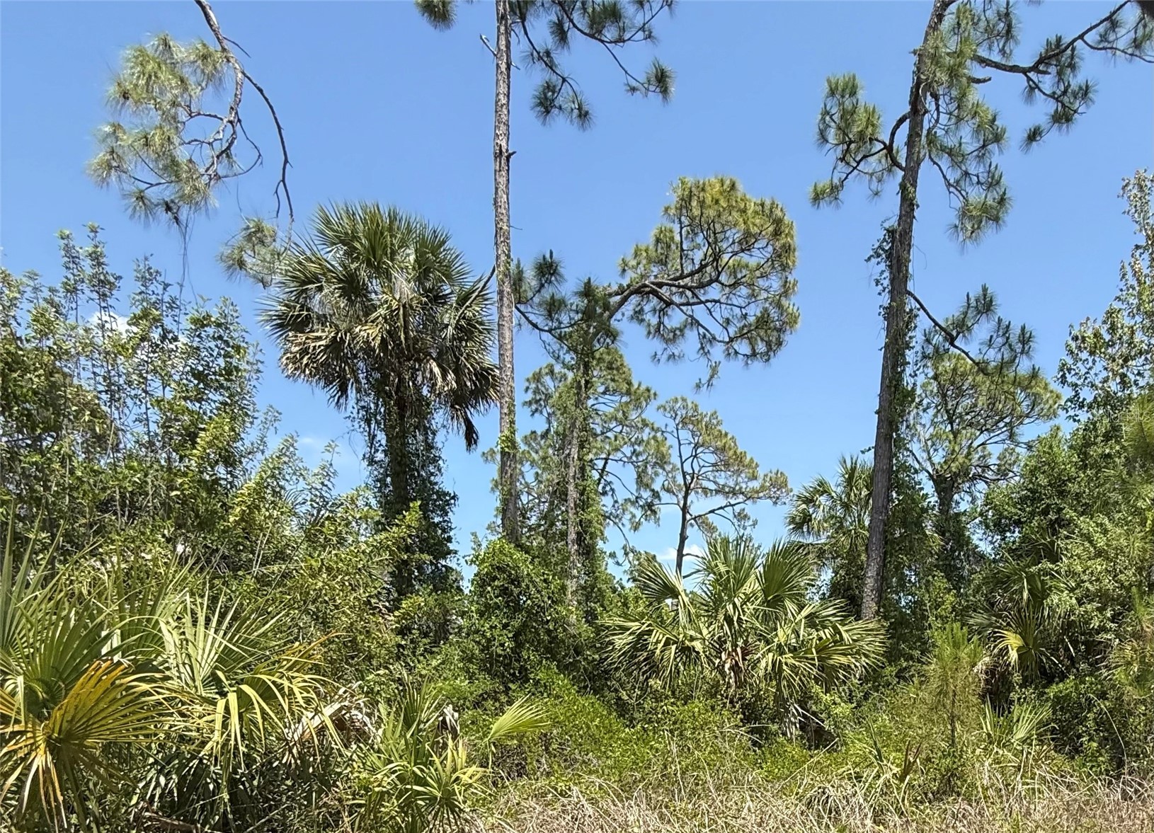 Lot 15 COASTAL STREET