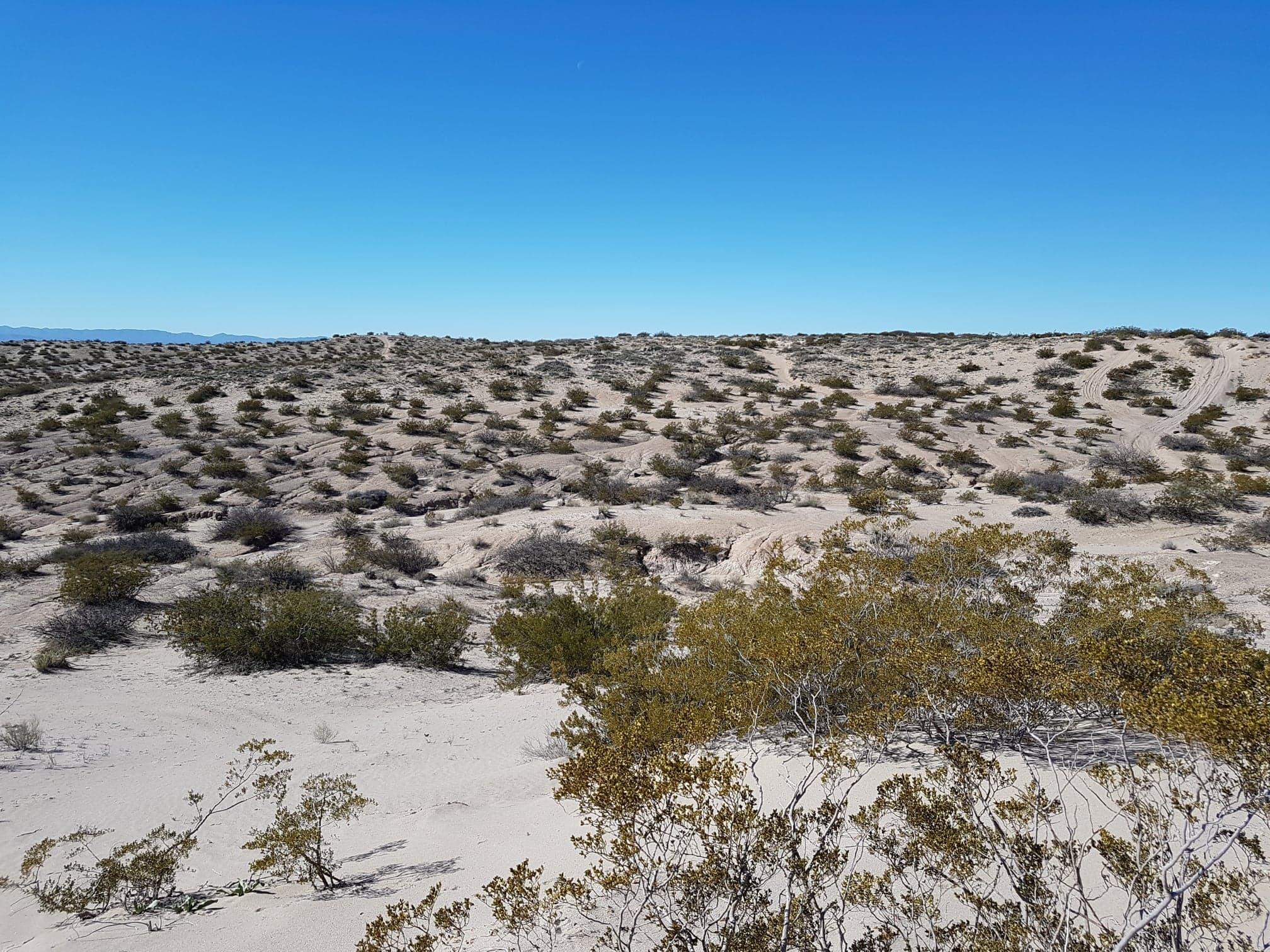 TBD Fabens, Fabens, TX 79838