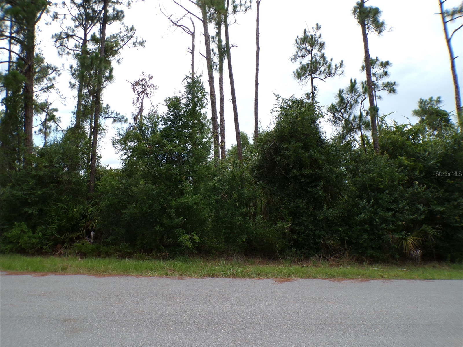 LUMMUS STREET