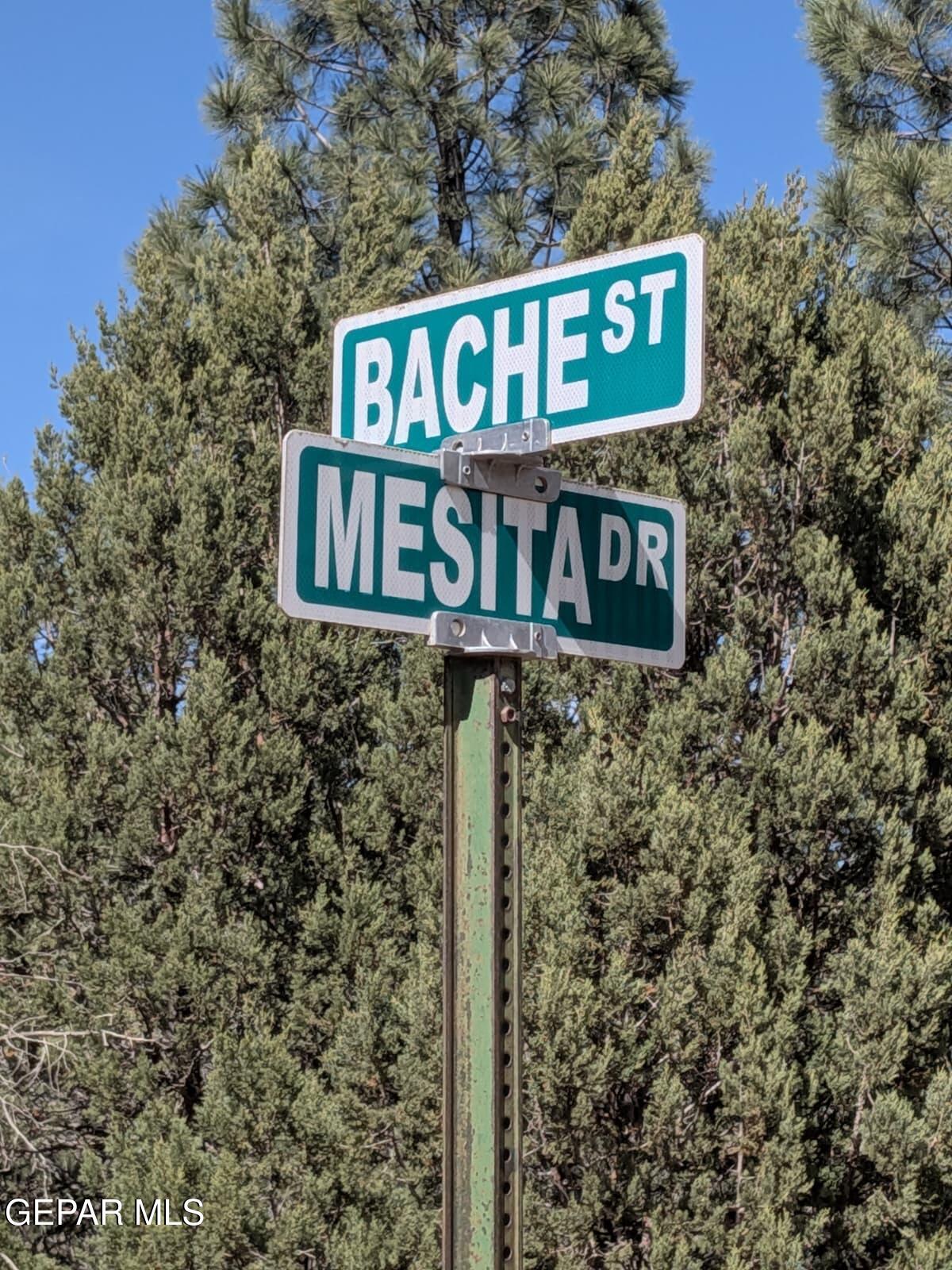 PN TBD BACHE ST & MESITA DR Drive, Alto, NM 88312