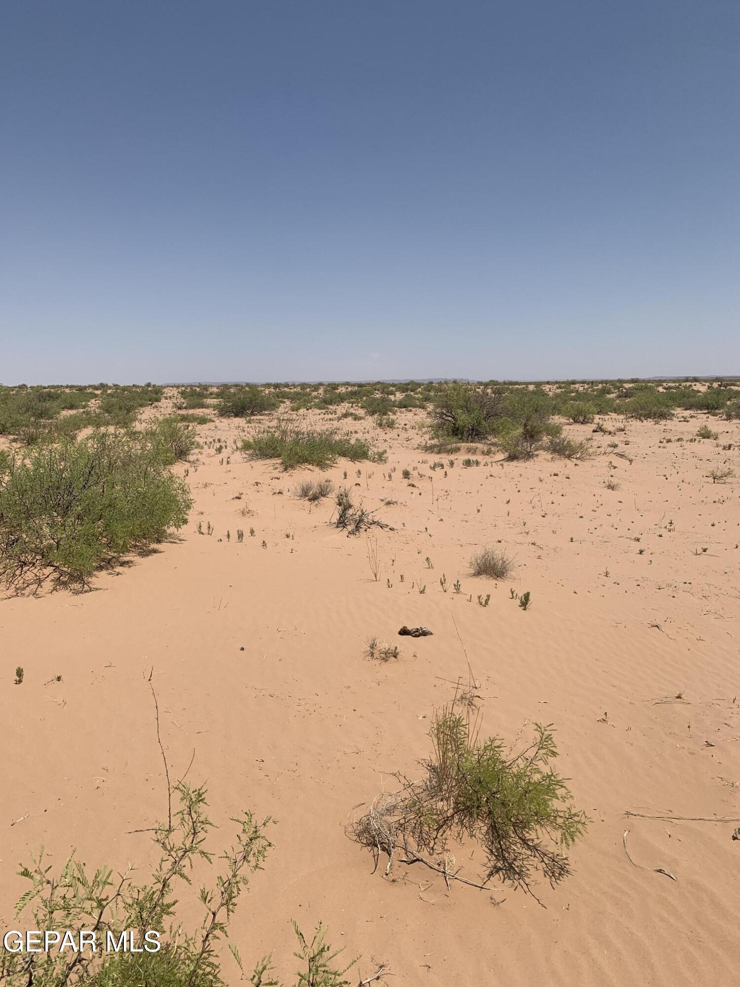 PN62177 Cocktail Drive, Ft Hancock, TX 79839