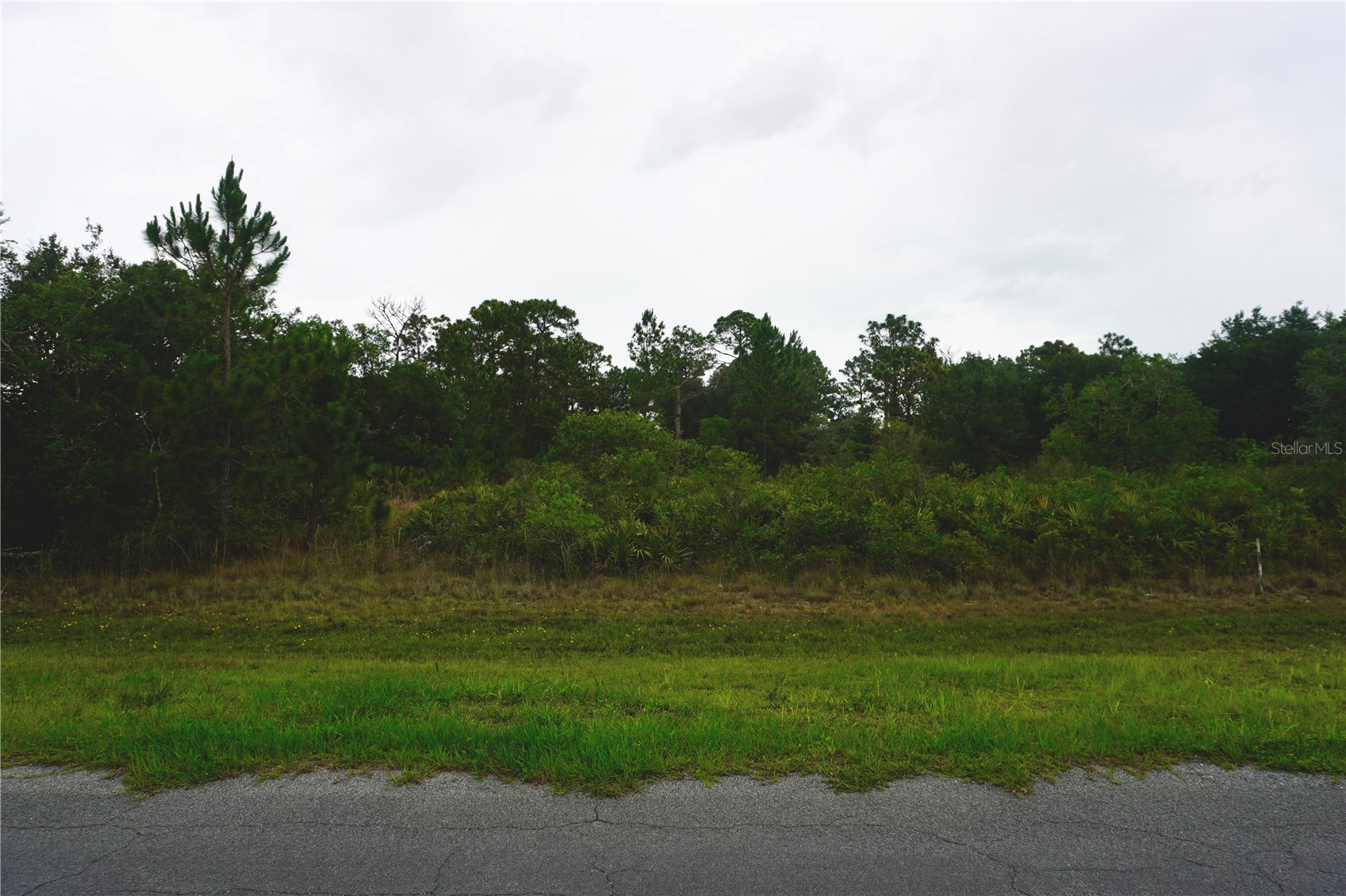 REYNOLDS PARKWAY