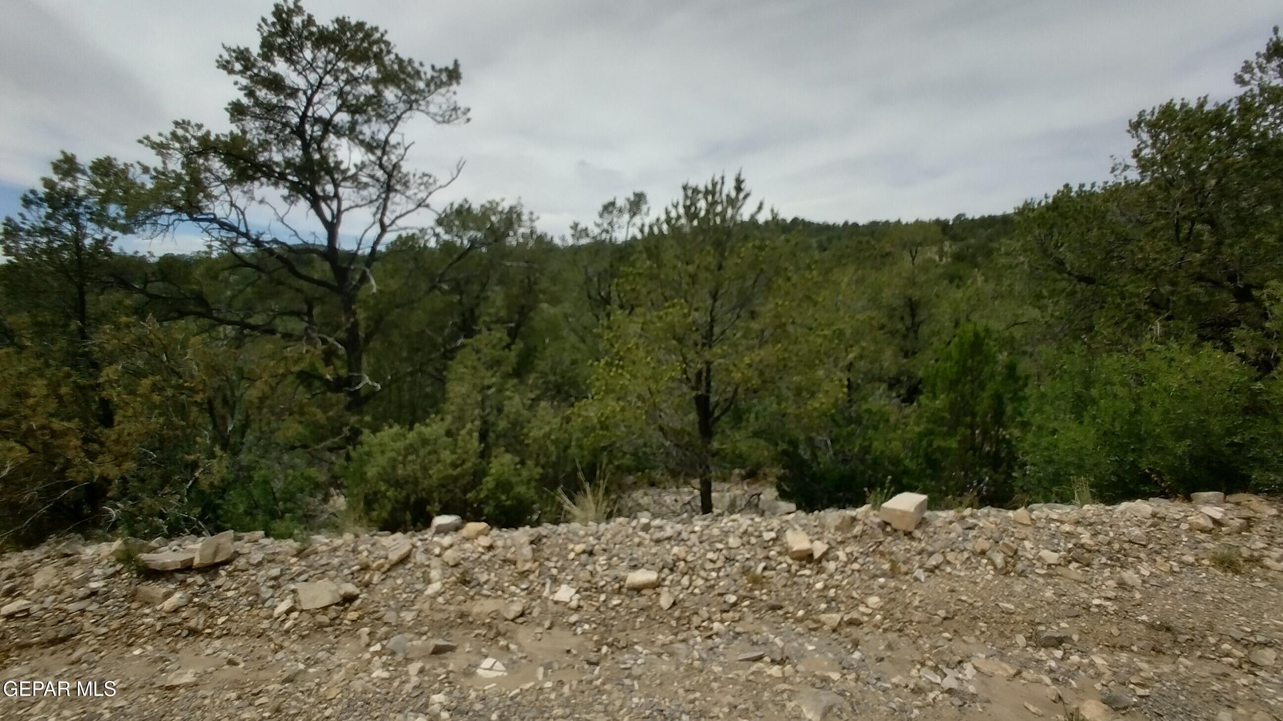 60 Canyon Road, Timberon, NM 88350