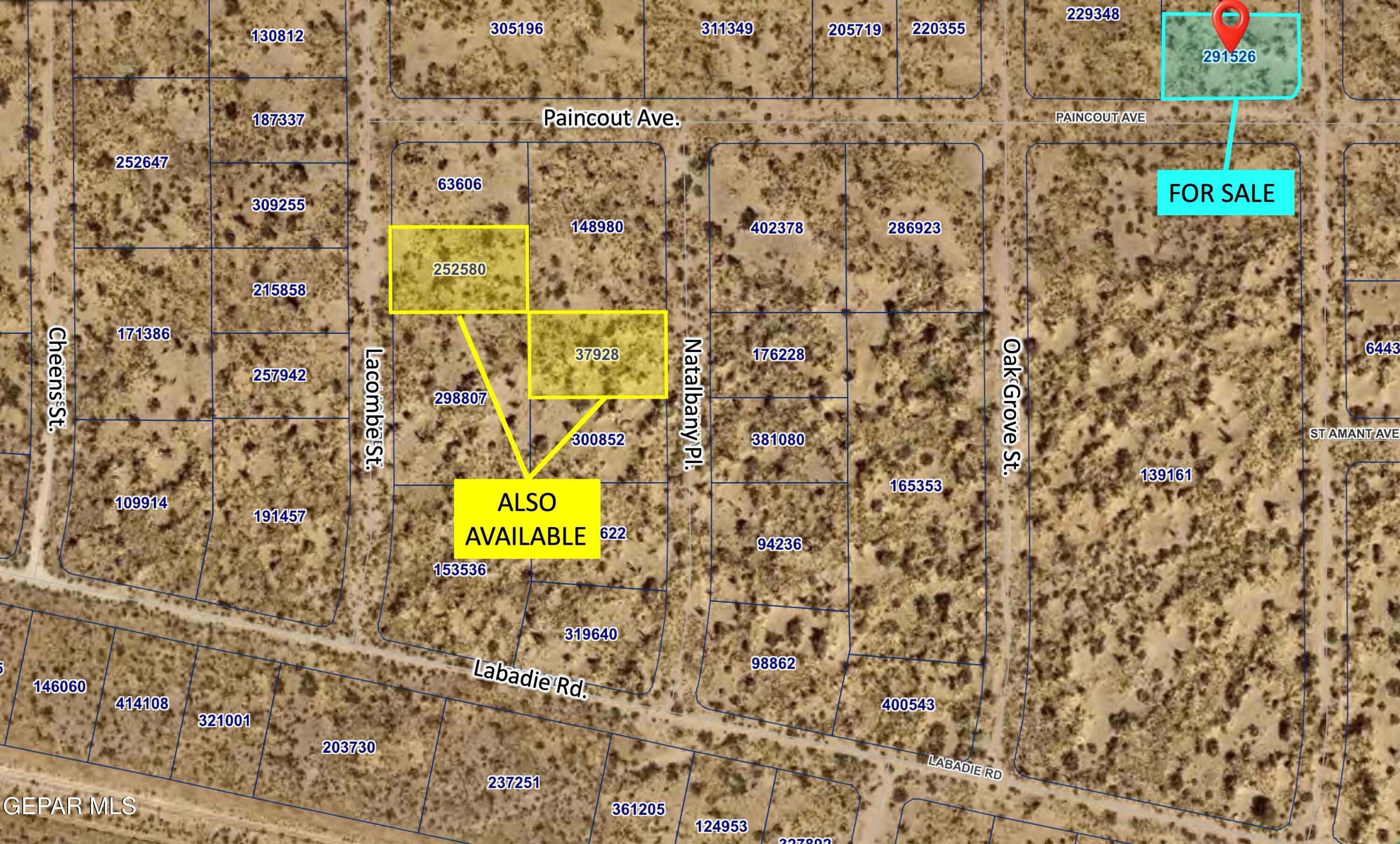 PN-291526 Palmetto Drive, El Paso, TX 79928
