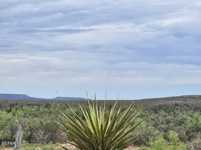 27 SEC 7 PSL SIERRA PRIETO #60 LOT 2, Sierra Blanca, TX 79851