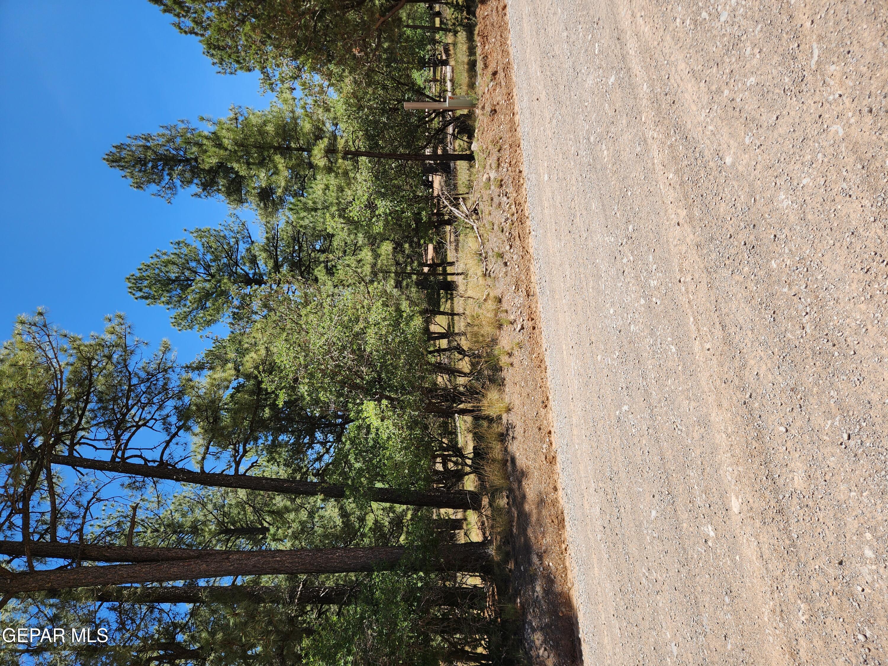 469 Dixwood Drive, Timberon, NM 88350