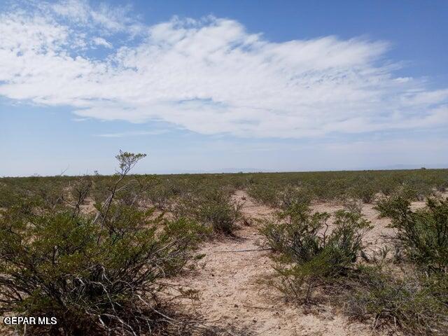 PN-53422 Karina Street, Ft Hancock, TX 79839