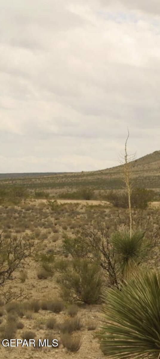 TBD TBD LOT 8 BLOCK 11 SEC 22 PSL, Sierra Blanca, TX 79851
