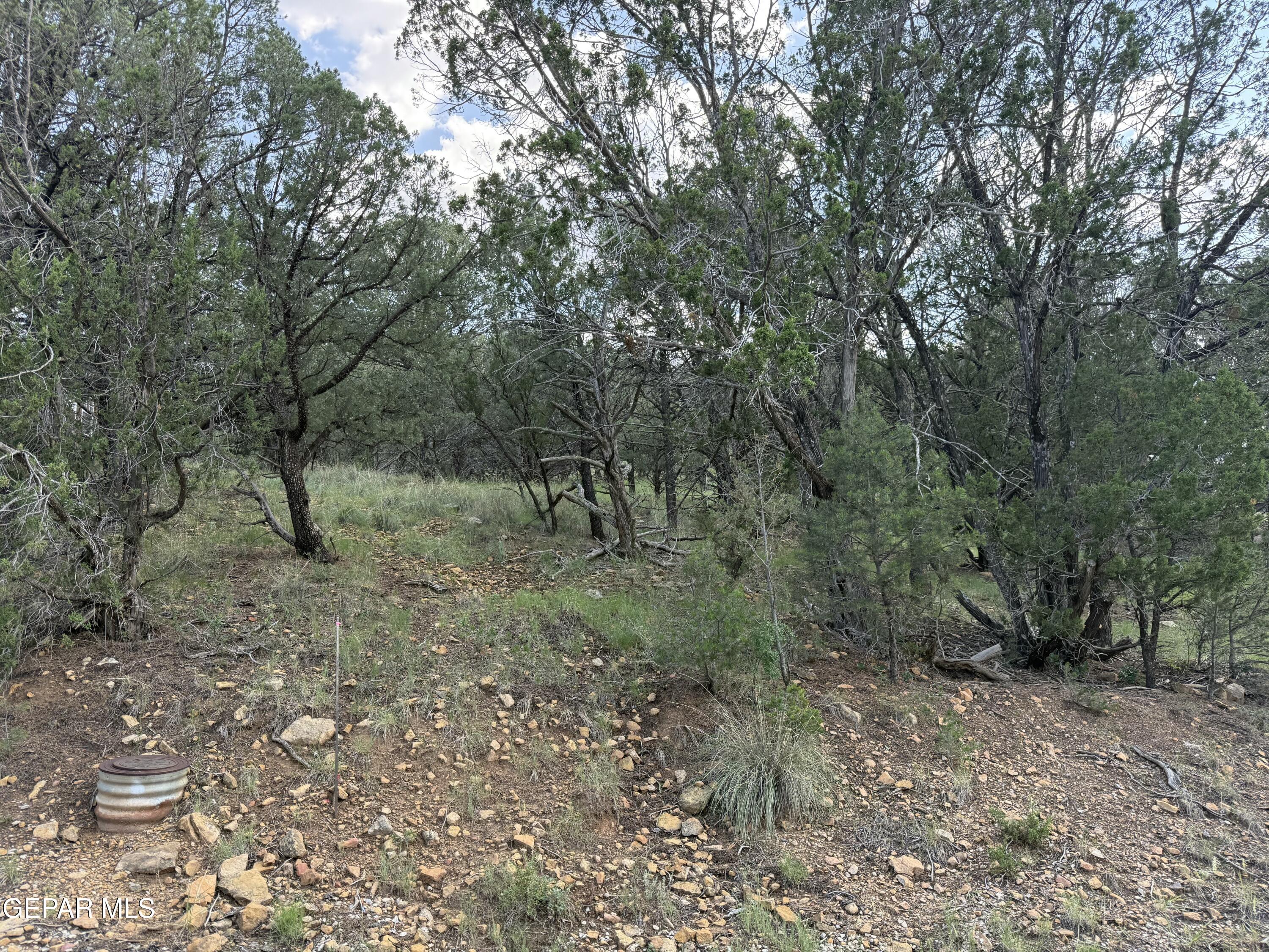 PN0361738 TBDChisholm Trail, Ruidoso, NM 88345
