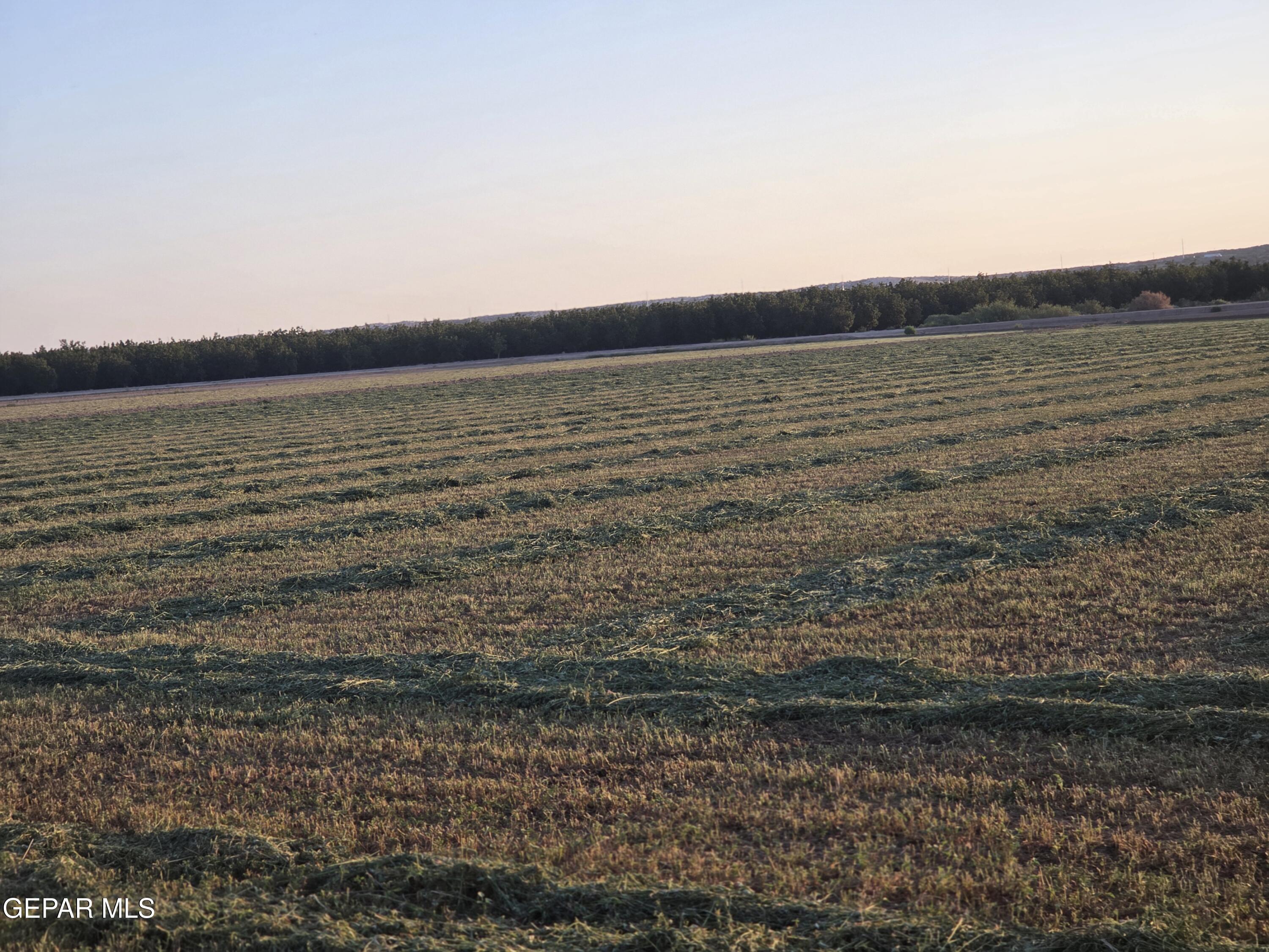 PN-235652 Porter Rebb Rd, Fabens, TX 79838