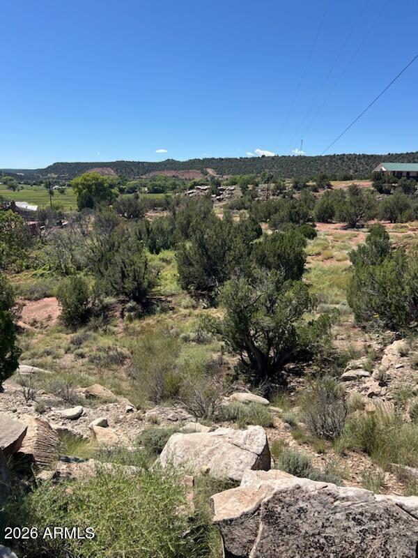 2682 OLD SCHOOL HOUSE Road -, Show Low, AZ 85901