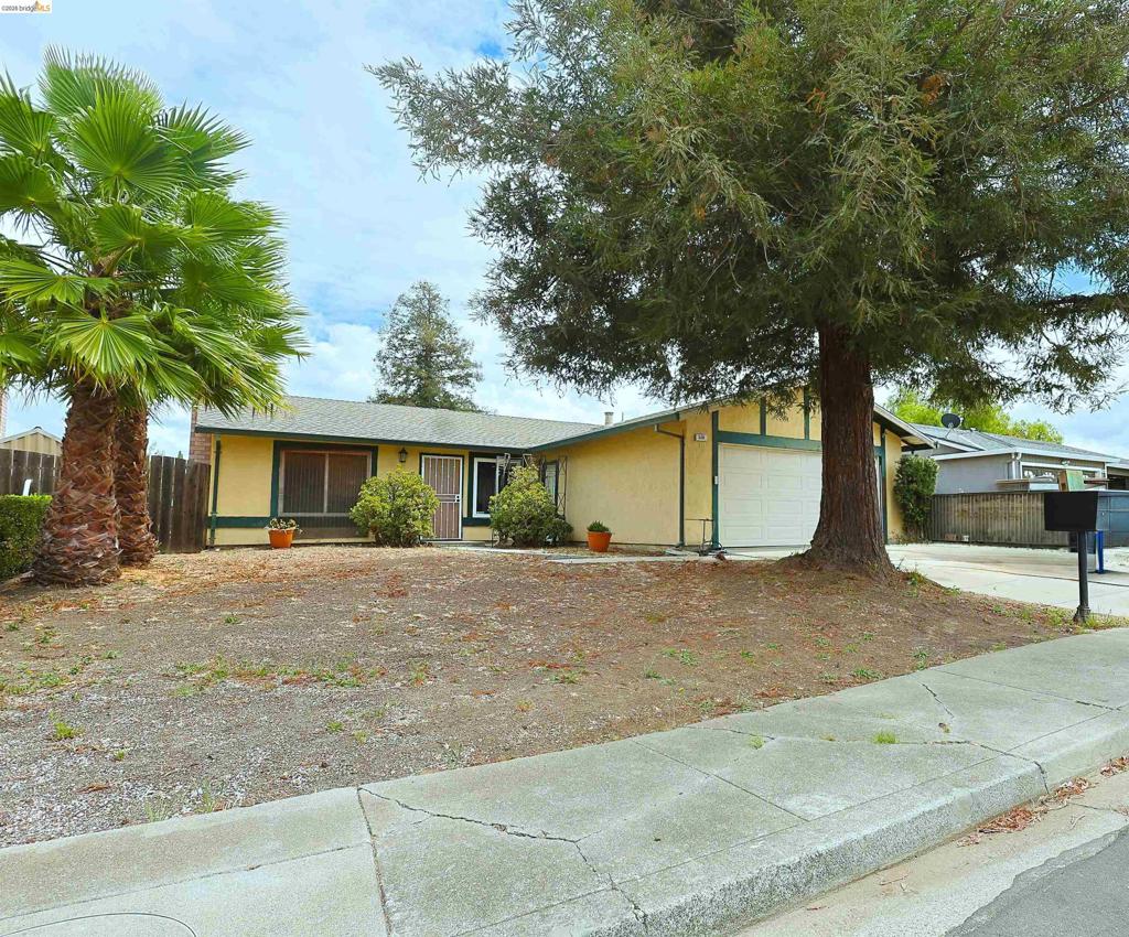 520 Pamela Dr