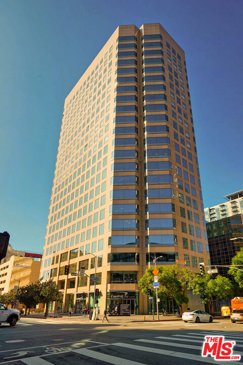 801 S Grand Avenue 1507