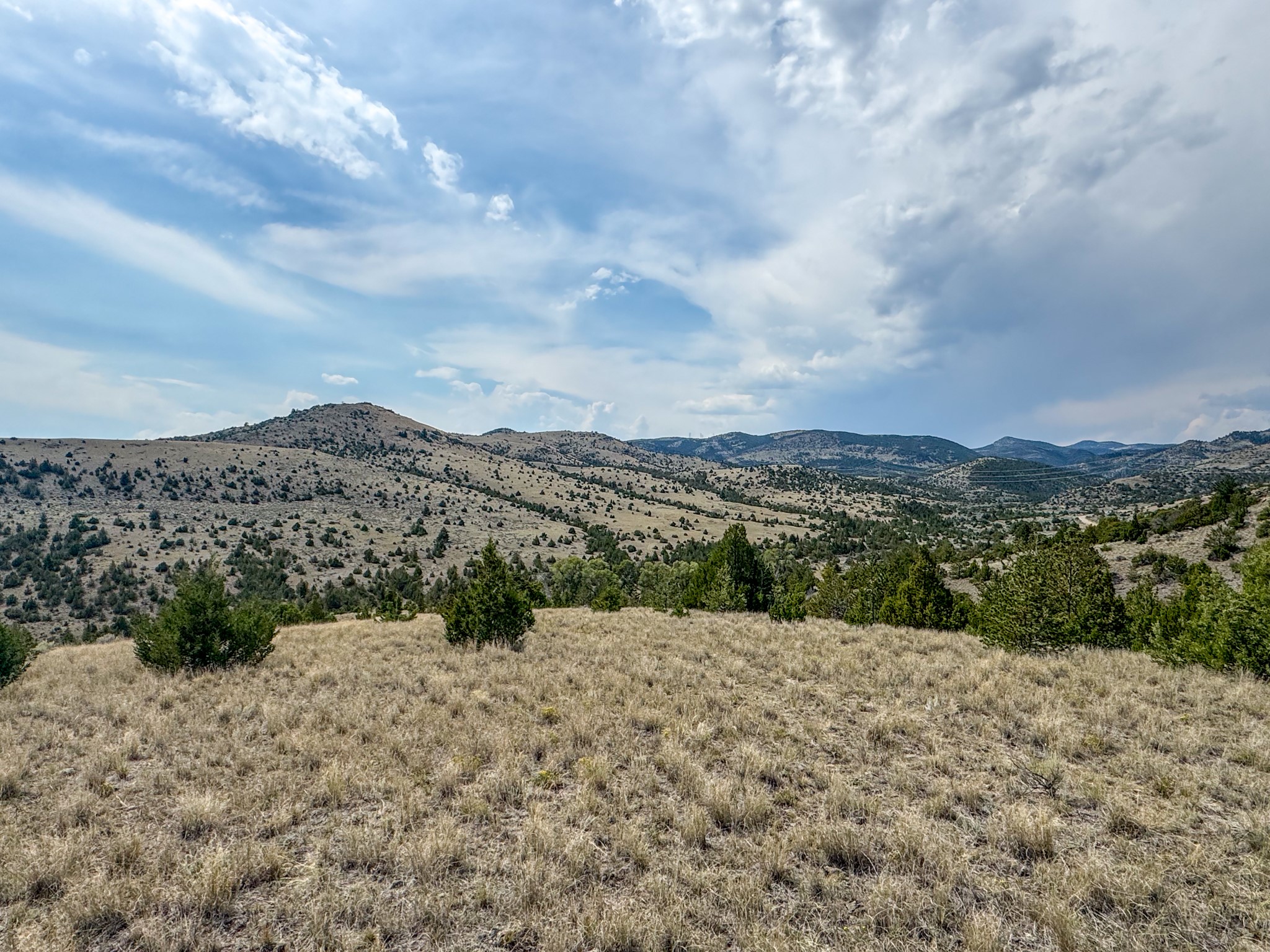 TBD Johnny Gulch Road