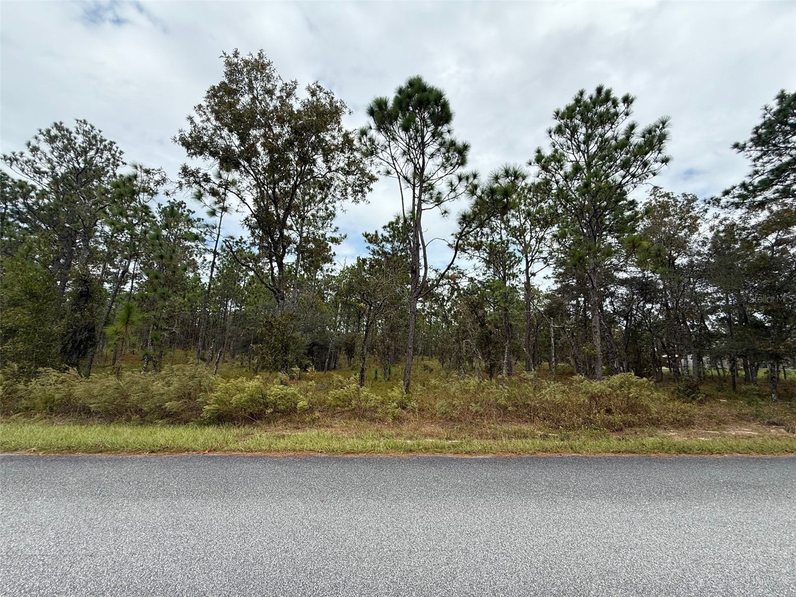 NW AMBERJACK AVENUE