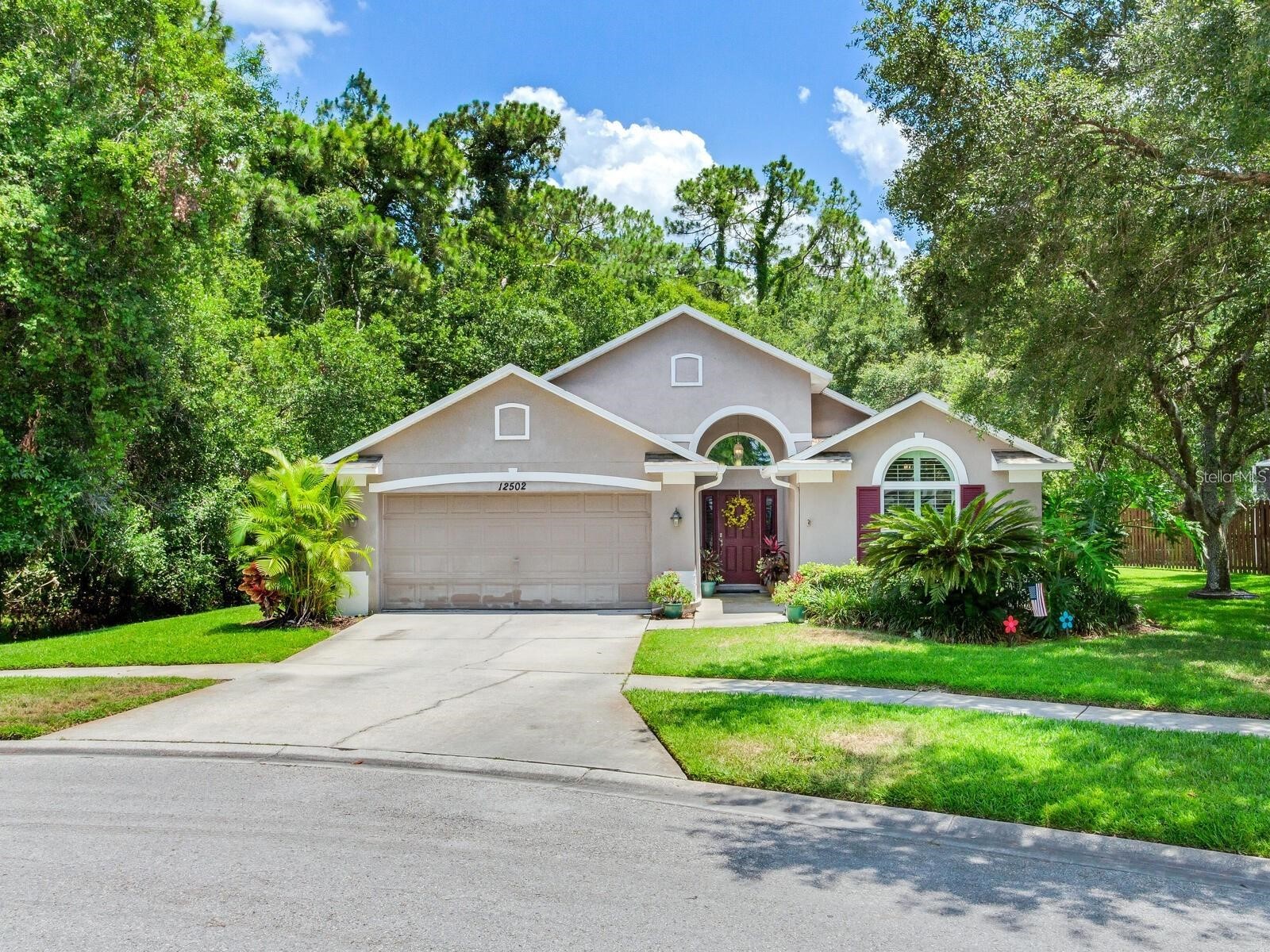 12502 BLAZING STAR DRIVE