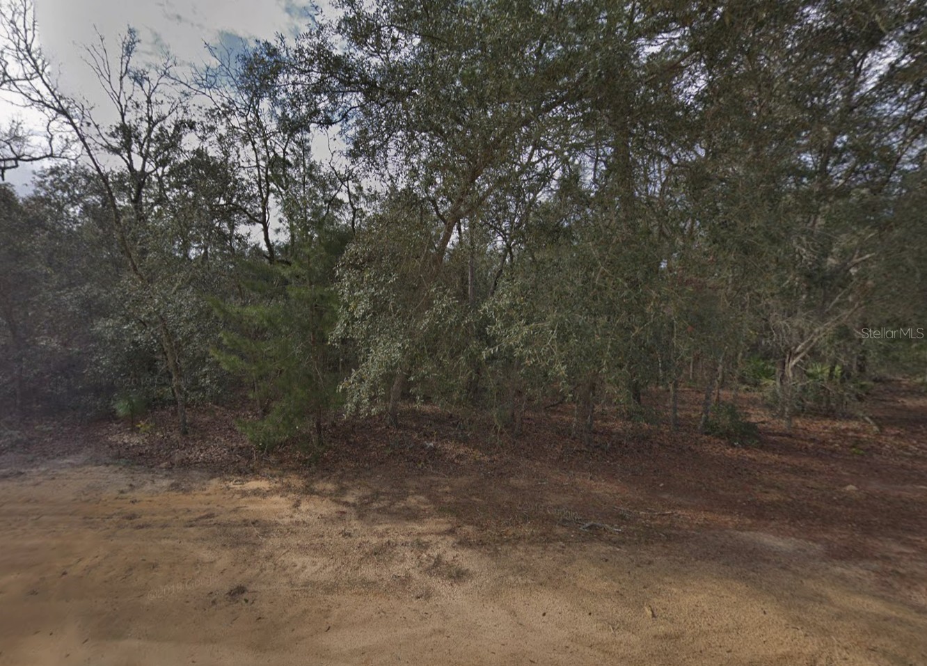 917 DAVID AVENUE