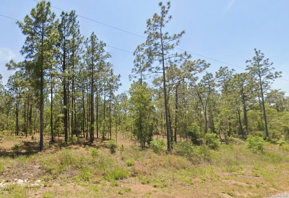 0 NW WATER OAK 5