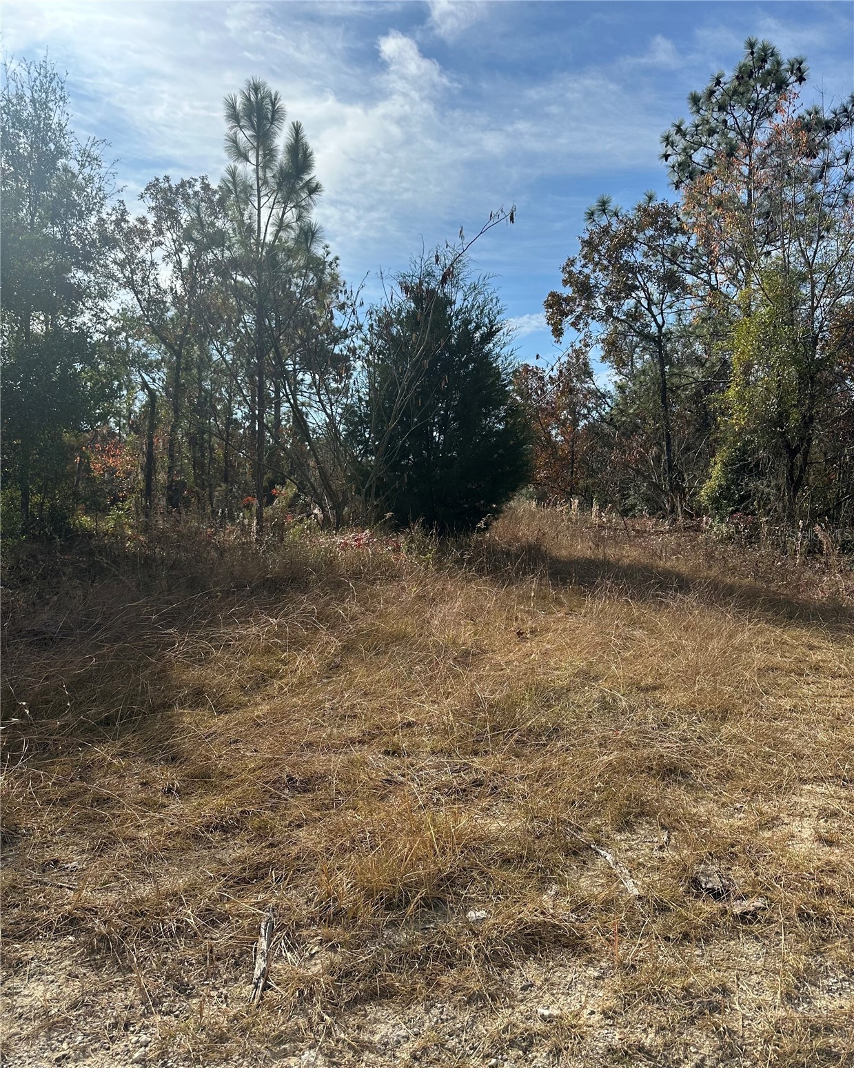 Lot 2 NE 151ST TER