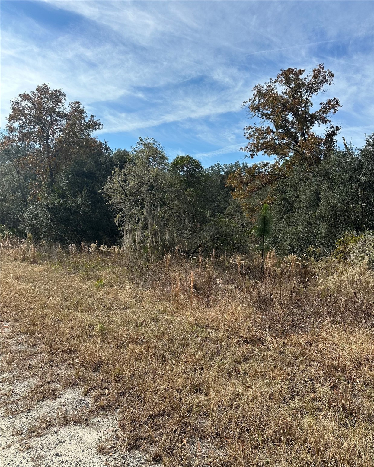 Lot 26 SE 133RD AVENUE