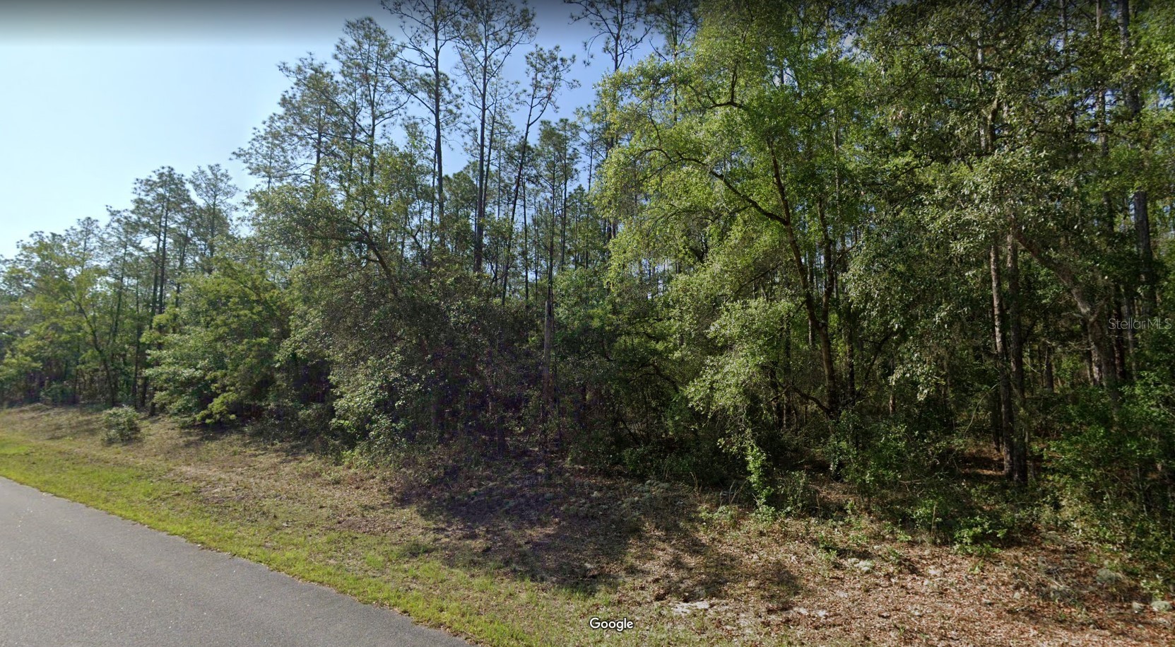 546 E BIMINI DRIVE