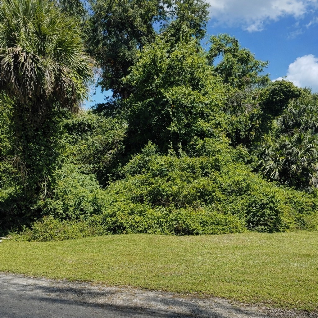 116 EDWARD DRIVE