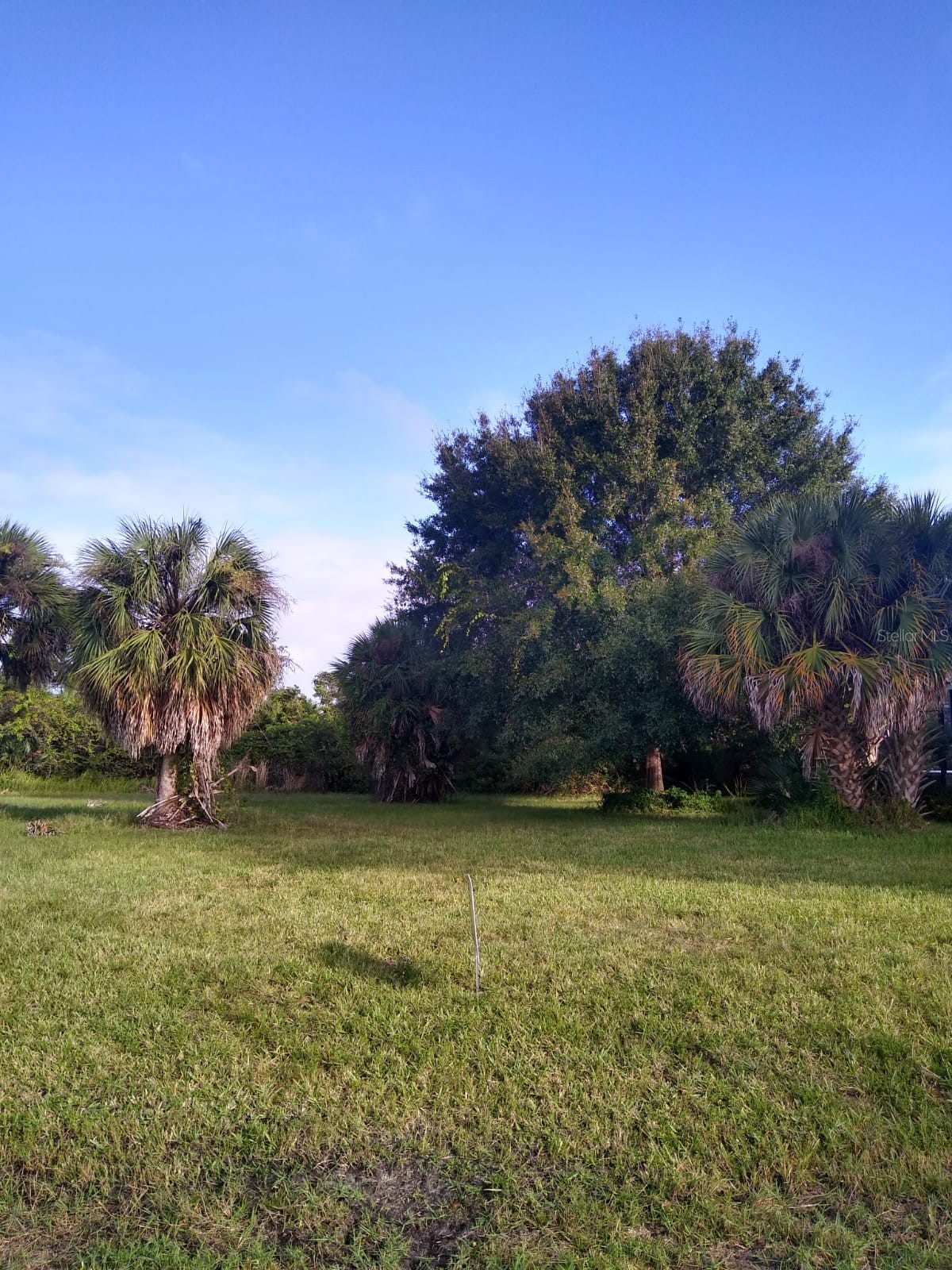 81 LONG MEADOW PLACE