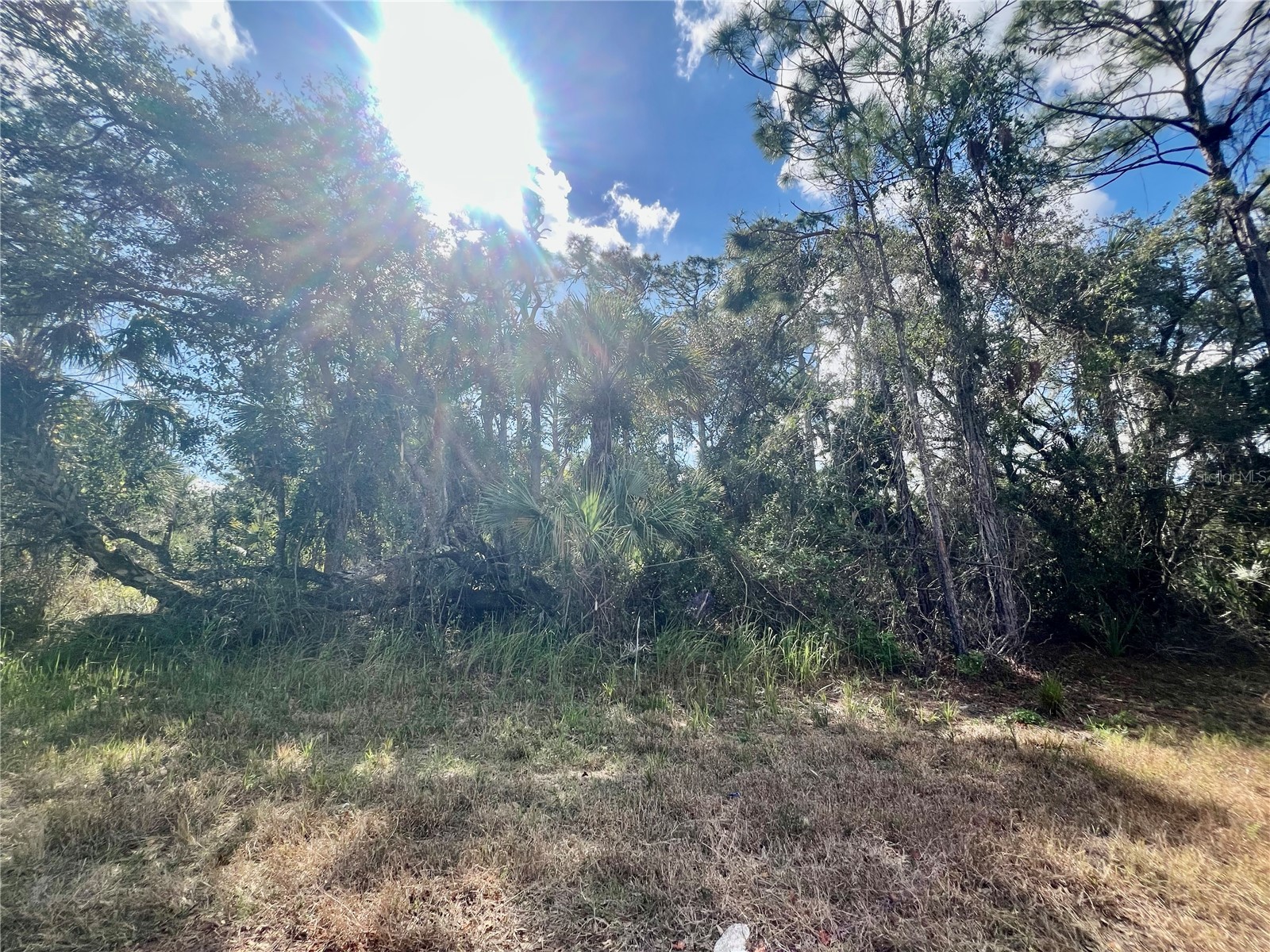 Lot 8 ABBEVILLE ROAD