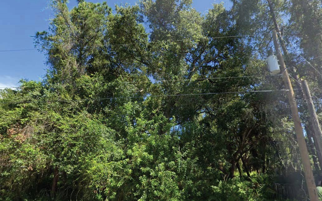 TRENTWOOD LANE