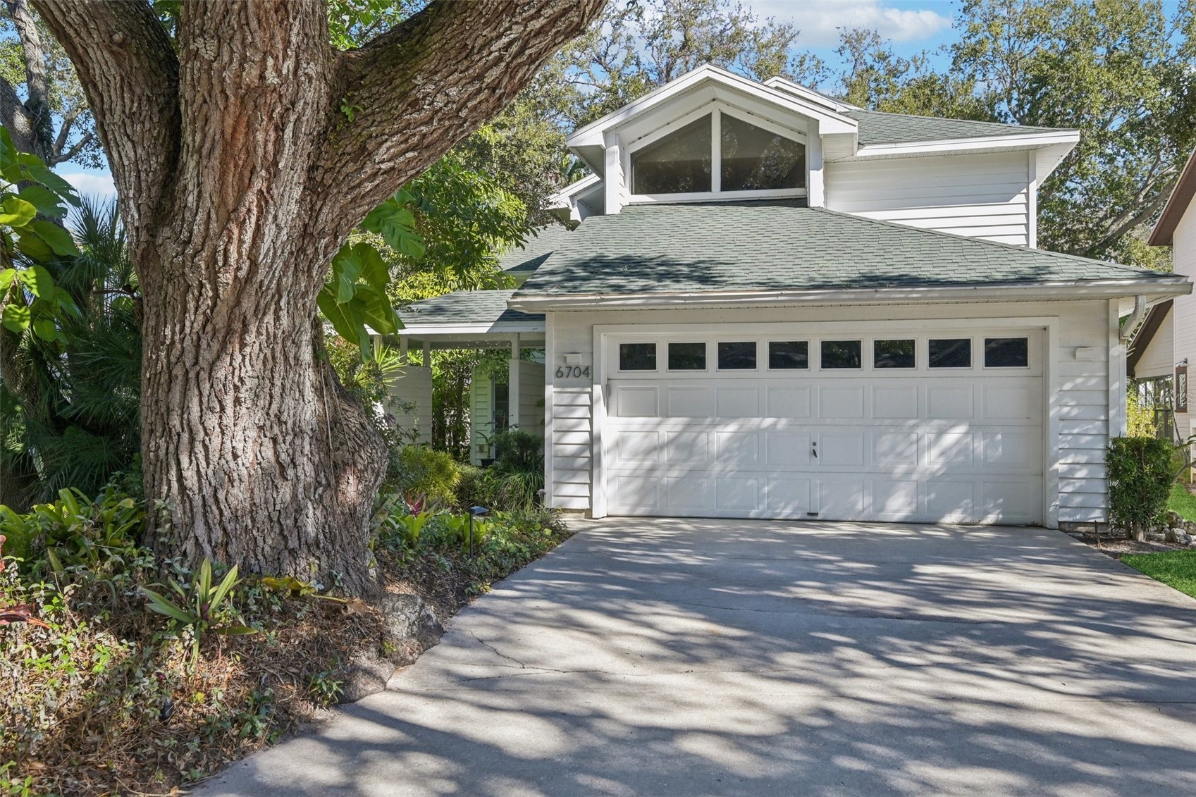 6704 ARBOR OAKS DRIVE