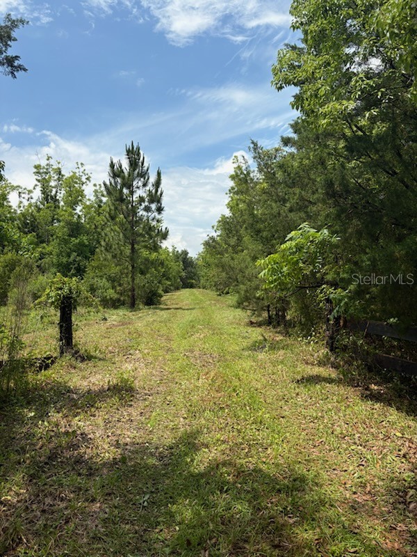 459 COUNTY ROAD 2006 E