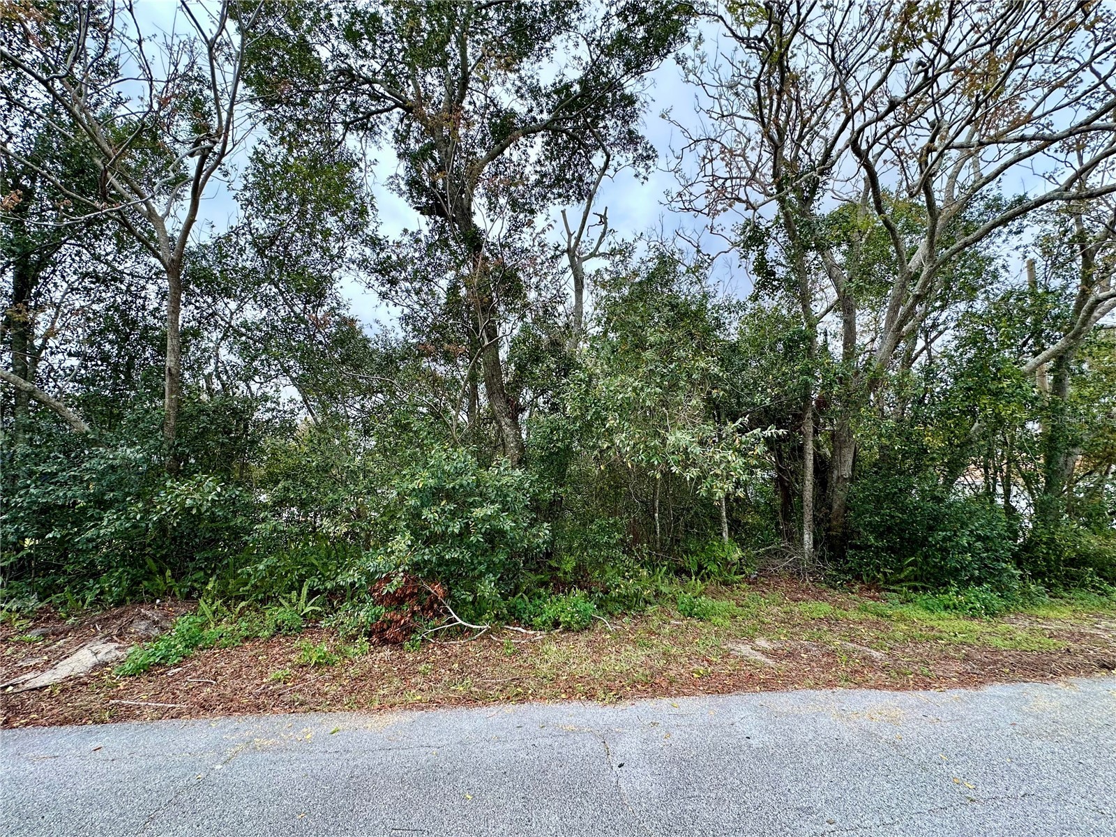 761 ARLENE DRIVE