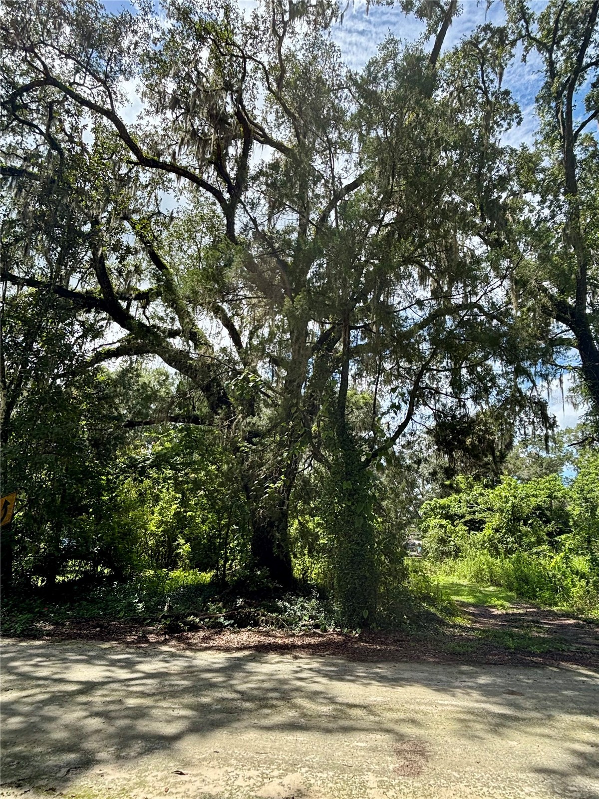 Lot 28 SW 109 LANE