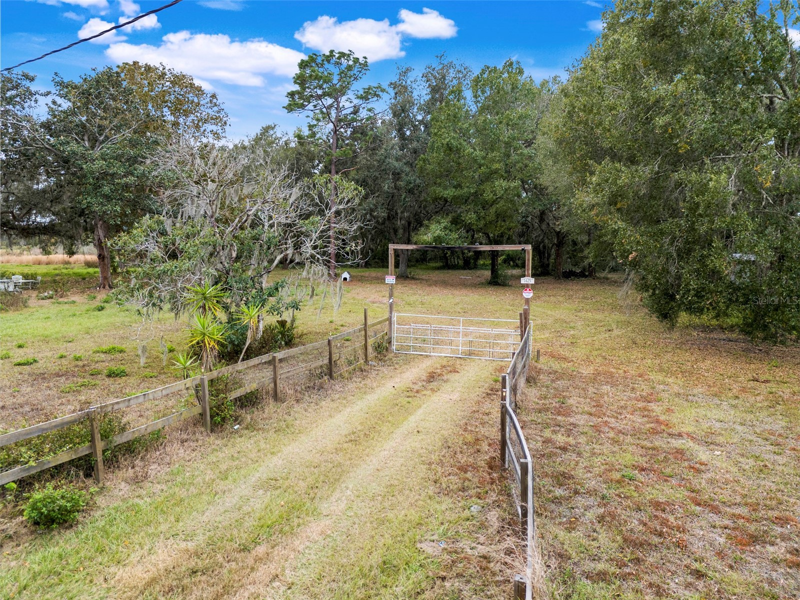 1425 DOUGLAS ROAD