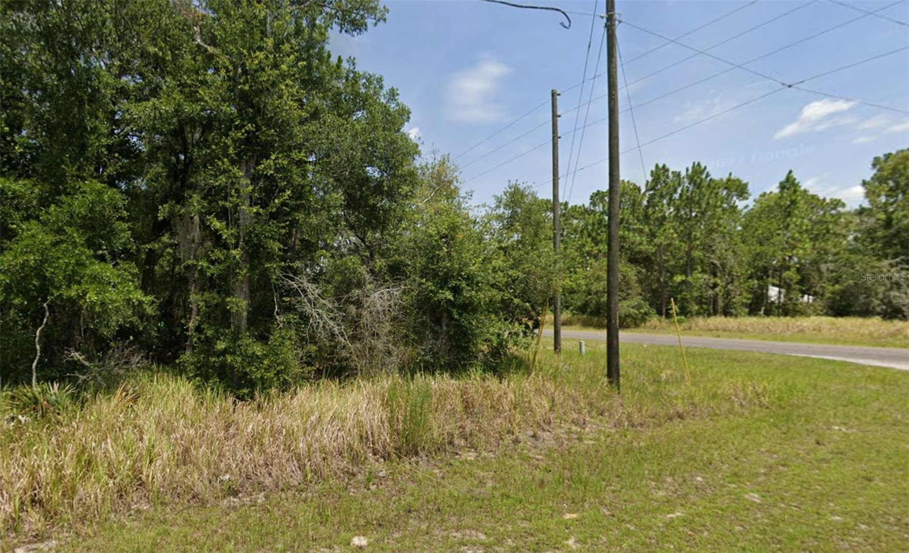 lot 19 LOCUST PASS LANE