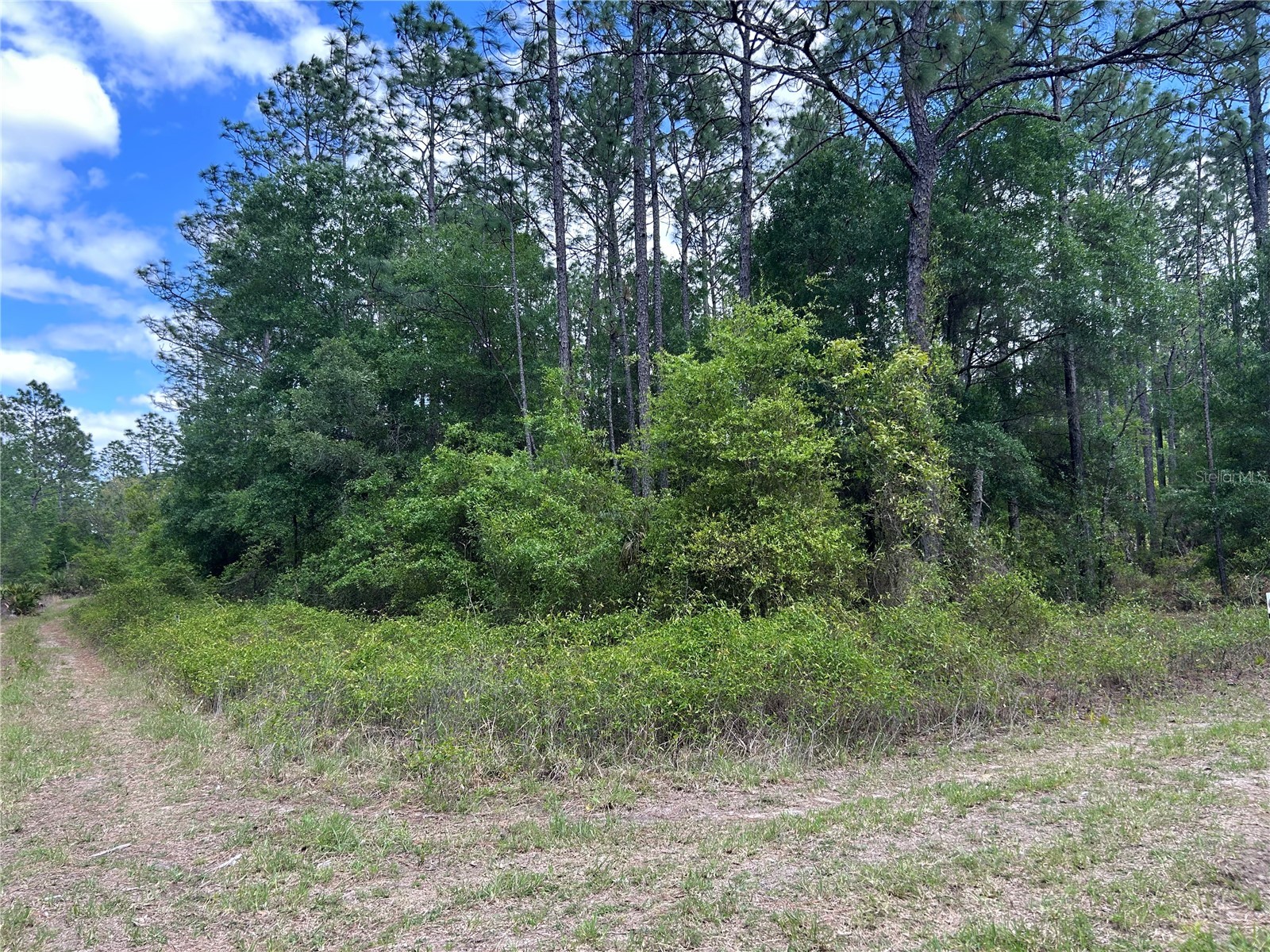 TBD SW 159TH AVENUE