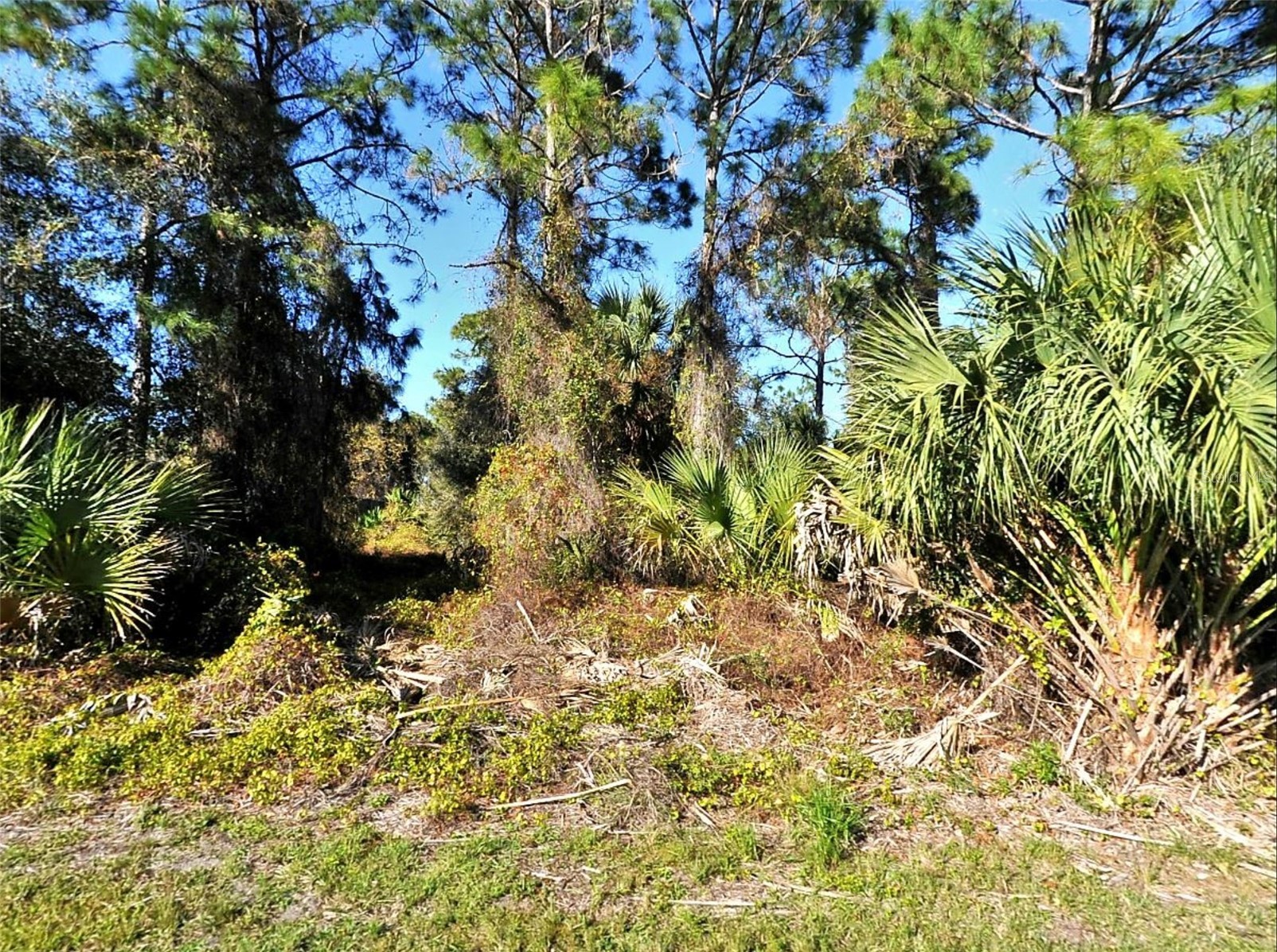 LOT 24 RENFRO AVENUE