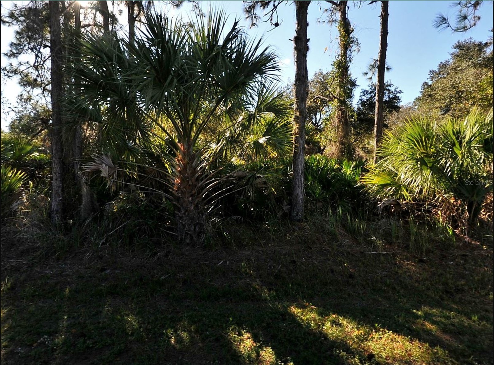 LOT 17 RUIZ STREET