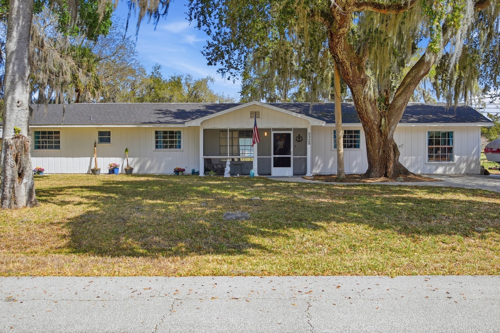 2329 LIME TREE